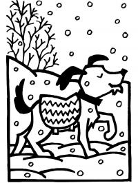 Зима, собачка в костюмчике идет по снегу Раскраски зима распечатать бесплатно