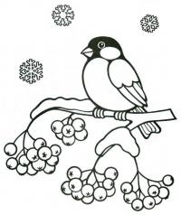 Новый год, снегирь на ветке Зимние рисунки раскраски