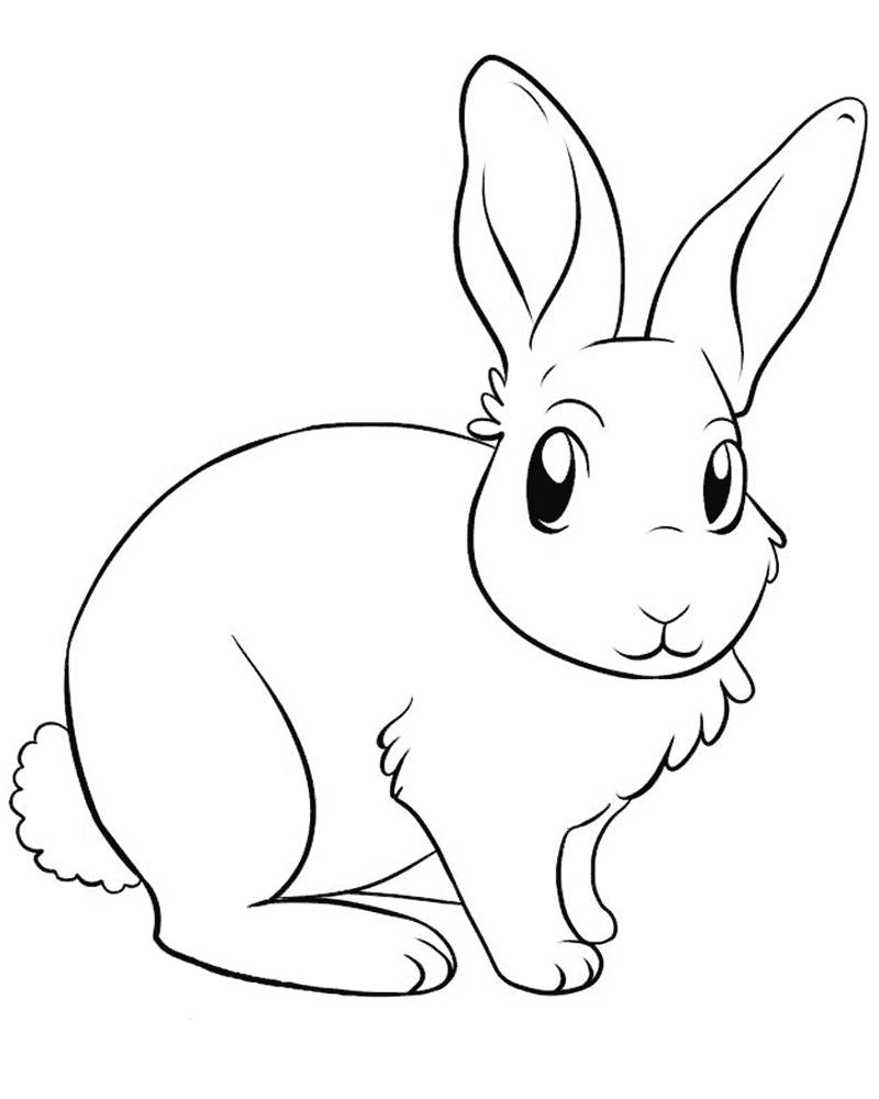 Заяц с длинными ушами Раскраска зима