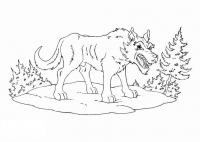 Злой и голодный волк Раскраски про зиму для детей