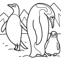 Пингвины Зимние раскраски для малышей