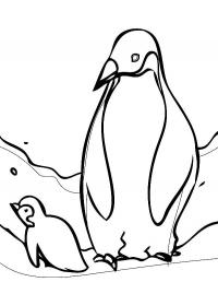 Пингвины арктики Зимние раскраски для малышей