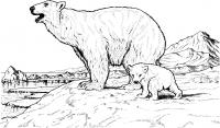 Арктика Зимние раскраски для малышей