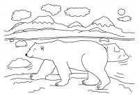 Полярный медведь Зимние раскраски для малышей