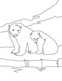 Медведь с медведицей Зимние раскраски для малышей