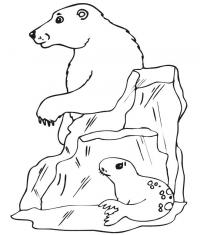 Полярные медведь и тюлень Зимние раскраски для малышей