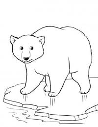 Полярный медведь на льдине Зимние раскраски для малышей