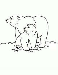 Парочка полярных медведей Зимние раскраски для малышей