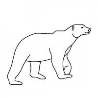 Полярный медведь вынюхивает добычу Зимние раскраски для малышей