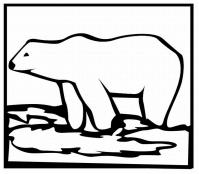 Полярный медведь Раскраска сказочная зима