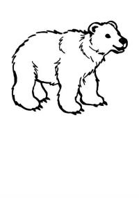 Полярный медвежонок Раскраска сказочная зима