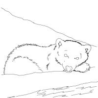 Задумчивый полярный мишка Зимние раскраски для малышей