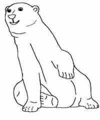 Сидит полярный медведь Зимние раскраски для малышей