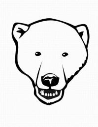 Полярный медведь Раскраски про зиму для детей