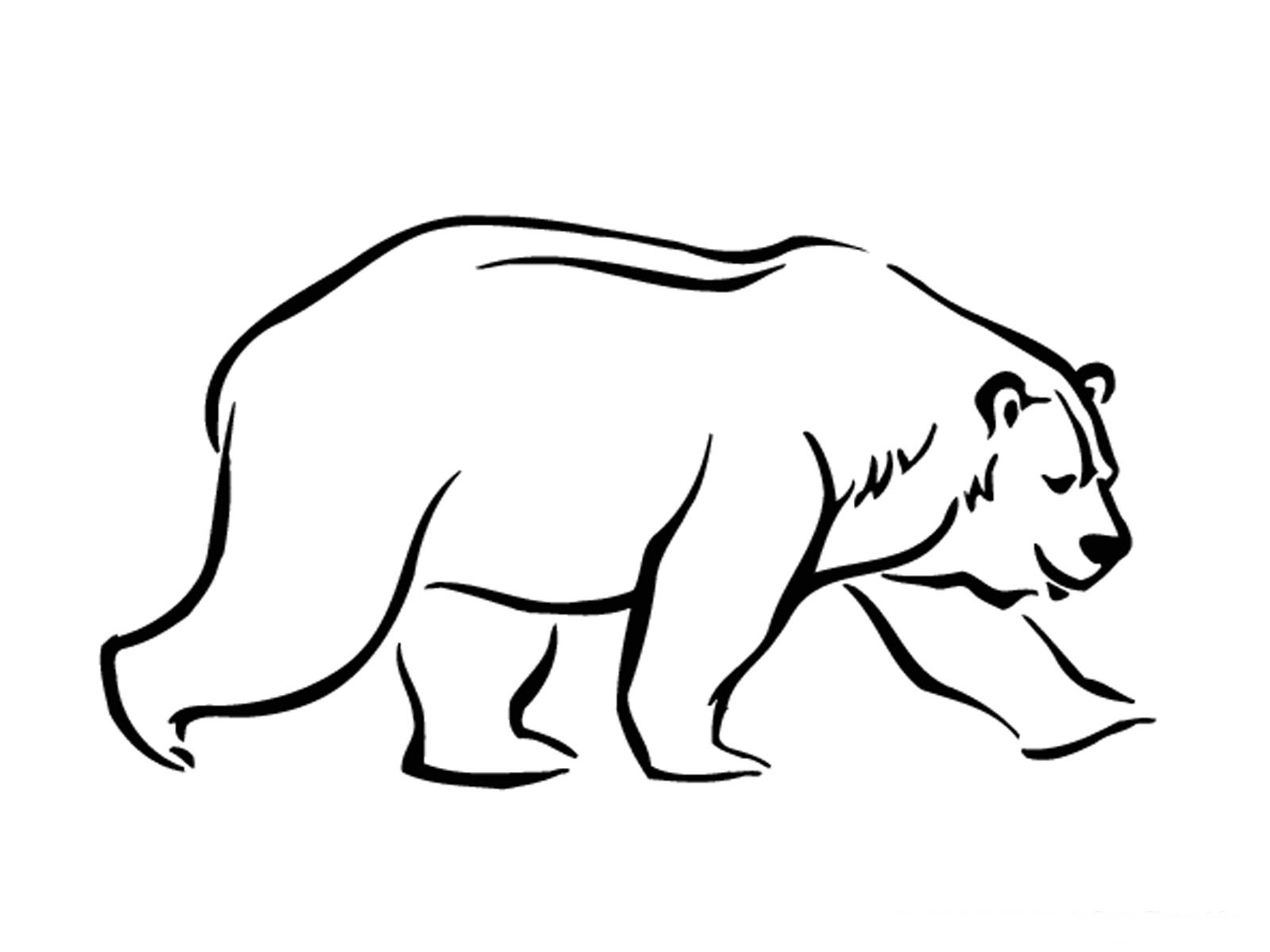 Идет полярный медведь Раскраски про зиму для детей