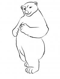 Северный медведь Зимние раскраски для малышей