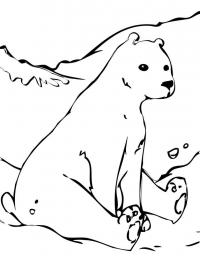 Северный мишка катается с горы Зимние раскраски для малышей