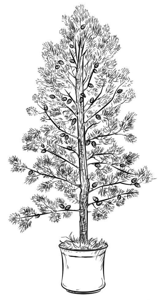 Дерево с шишками в ведре Раскраски про зиму для детей