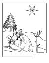 Зимний заяц Раскраски зима распечатать бесплатно