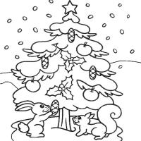 Белочки наряжают елку шишками и яблоками Детские раскраски зима распечатать