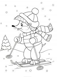 Открытки с ежиком на лыжах Детские раскраски зима распечатать